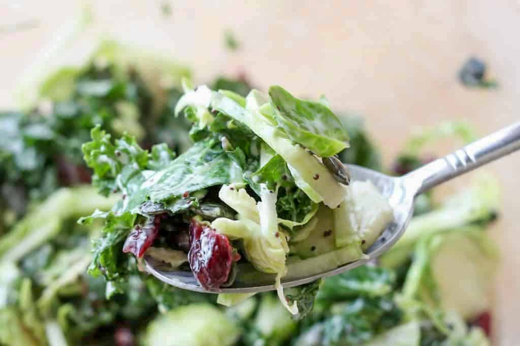 Kale Vegetable Salad